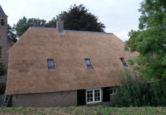 Renovatie